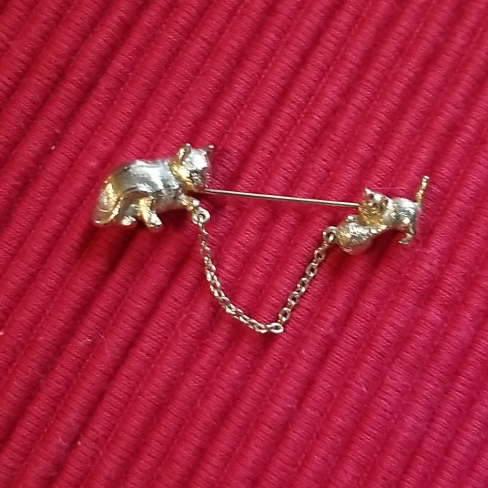 Pin